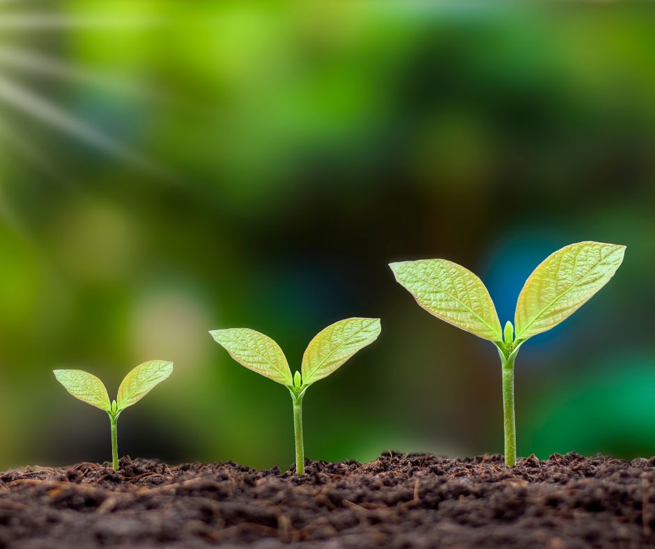 Green Seed Plant Illustration Earth World Environment Day Facebook Post