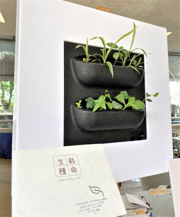 Photo 1-10-2022, 11 42 59