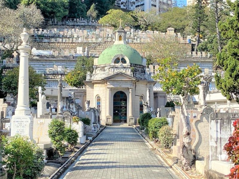 WhatsApp Image 2023-03-07 at 5.19.09 PM (2)